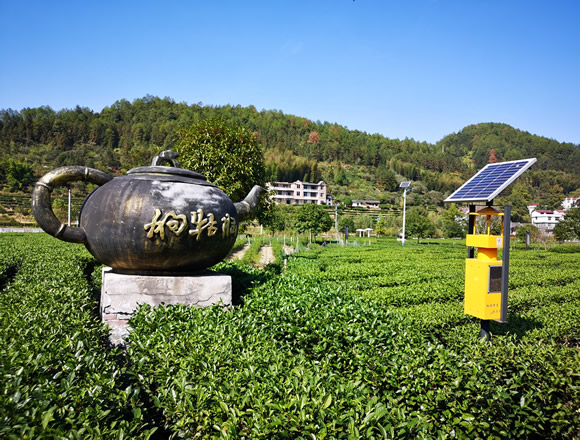 風(fēng)吸式太陽(yáng)能殺蟲(chóng)燈